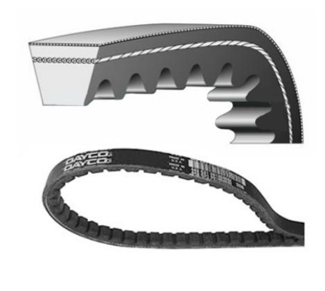 Correia Dentada Banhada Oleo