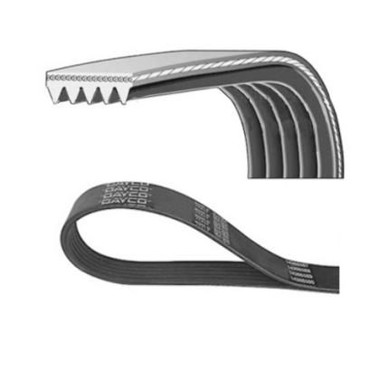 CORREIA ELASTICA POLY-V